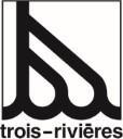 Préposée ou préposé aux patinoires
